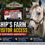 Gold Ship’s Farm Limits Visitor Access After Overcrowding Concerns Rise